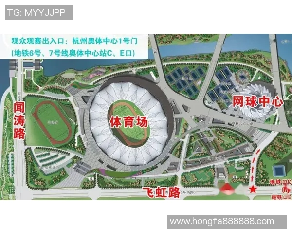 杭州网球队个人能力分析与表现评估研究报告